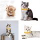 thumbnail image 5 of Calentador De Cuello De Poliéster Collar ajustable para gatos con diseño de huella de pata, cierre de seguridad con tira reflectante y cascabel para gatitos (amarillo, 1 pieza). Rkxzt, 5 of 9