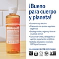thumbnail image 4 of Jabón de Castilla Dr. Bronner's Cítricos Fórmula Concentrada Orgánica Biodegradable, 4 of 6