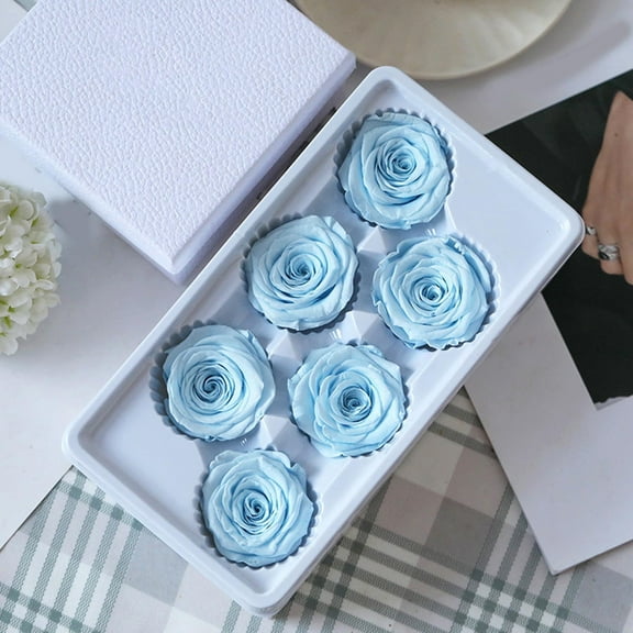 MixMart 6Pcs/Set Forever Preserved Roses in a Box, Real Roses That Last Up to 1 Years, Preserved Flowers for Delivery Birthday, Valentines Day Gifts for Her