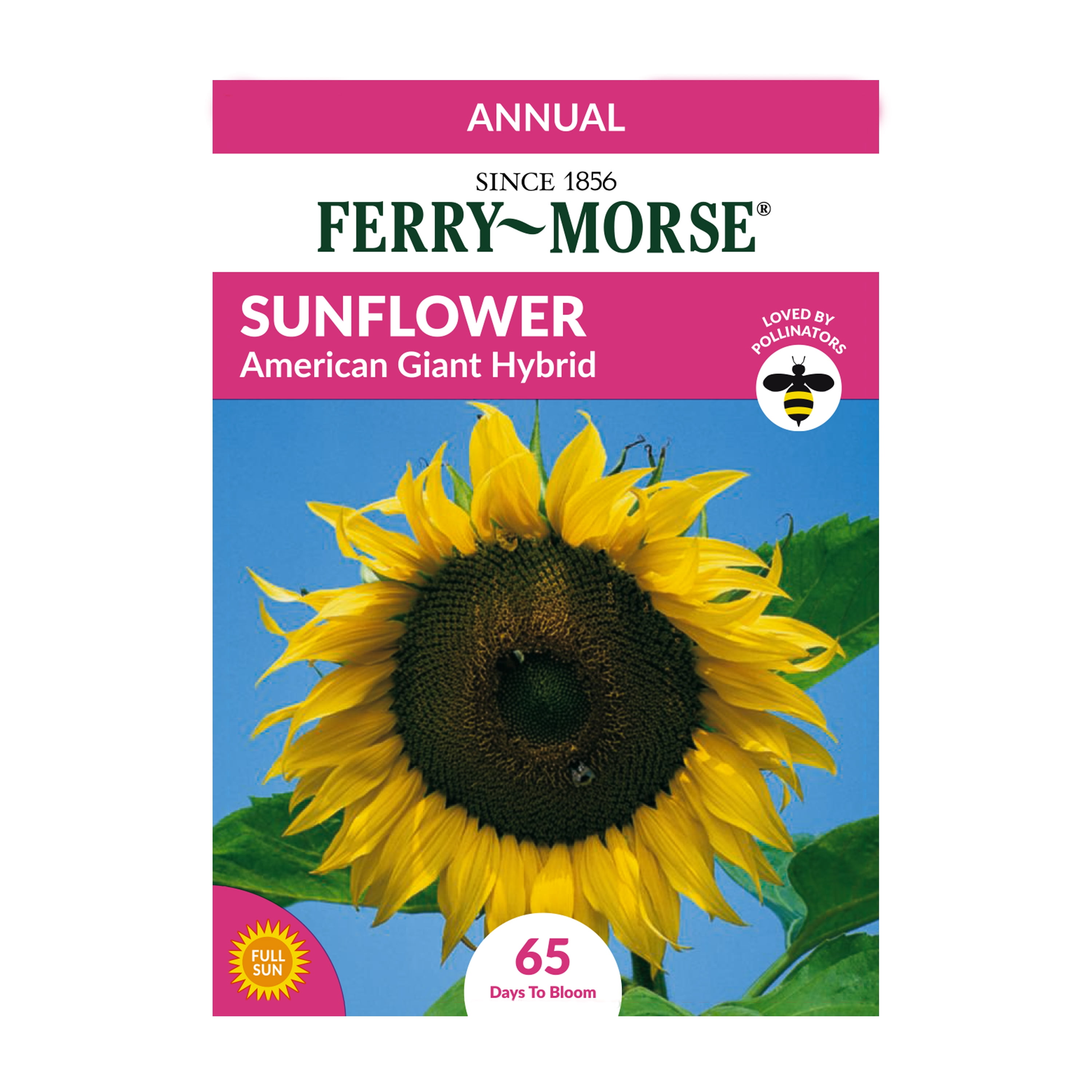FerryMorse 110MG Sunflower American Giant Hybrid Flower Seeds (1 Pack