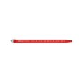 thumbnail image 2 of Voile Straps - 15"" Aluminum Buckle Red, 2 of 4