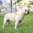 thumbnail image 3 of AYYUFE Anti-pull Pet Chest Strap Multi-color Anti-escape Adjustable Fashion Pet Harness Traction Leash for Outdoor, 3 of 8