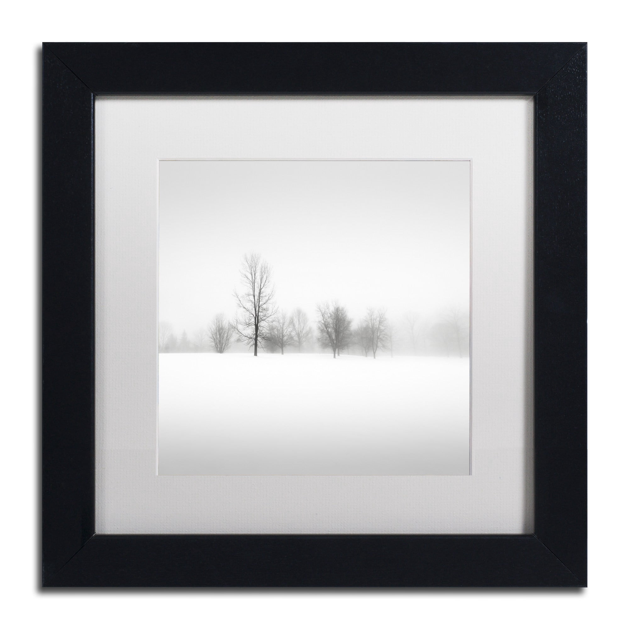 Trademark Fine Art "Winter Fog" Canvas Art by Dave MacVicar, White Matte, Black Frame
