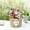 D, variant on Rattan Woven Flower pot Handmade Woven Planter Basket Natural Plant Containers Suitable for Indoor And Outdoor Plant(L)