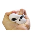 thumbnail image 2 of 1 Skull Stress Ball Toy- Doctor, Nurse, Med Student, Radiologist Halloween, 2 of 4