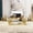 Transparent-Rectangle, variant on Harper & Bright Designs Modern Metal Round End Table with Storage, Gold Mirror Side Table with Lower Shelf and Tempered Glass Top for Living Room, Transparent 19.8"