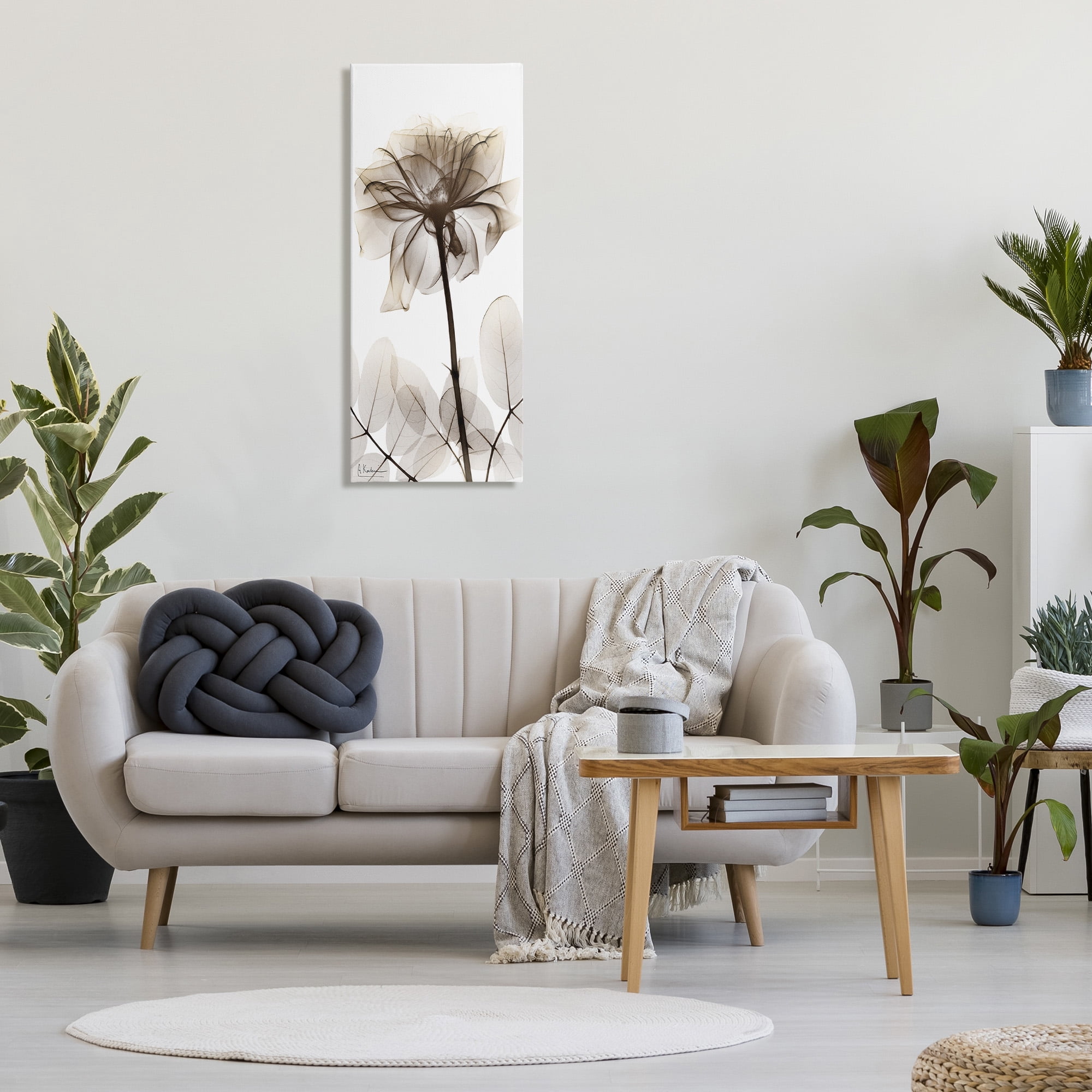 Stupell Industries Blooming Opaque Flower Botanical & Floral Photography Gallery Wrapped Canvas Art Print Wall Art, 17 x 40