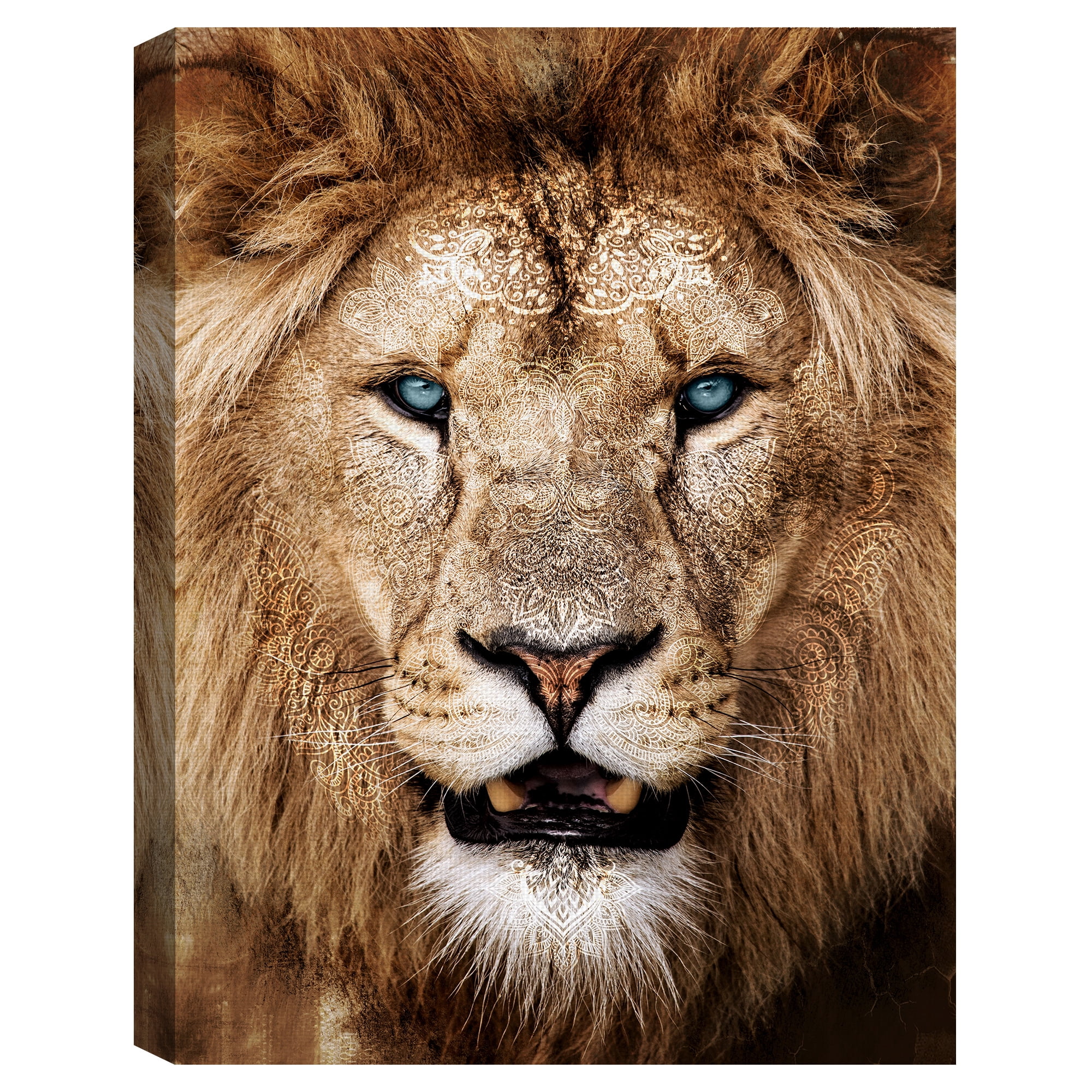 Masterpiece Art Gallery Global Lion I By Belle Maison Canvas Art Print 30" x 40"