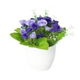 thumbnail image 1 of GreenHome In Real For Home Desk Centerpiece Arrangement Crafted from Polyester for Home and Tabletop Display, 1 of 5
