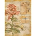 thumbnail image 2 of Brent, Paul 19x24 Black Ornate Wood Framed with Double Matting Museum Art Print Titled - Flora Dragonfly, 2 of 4