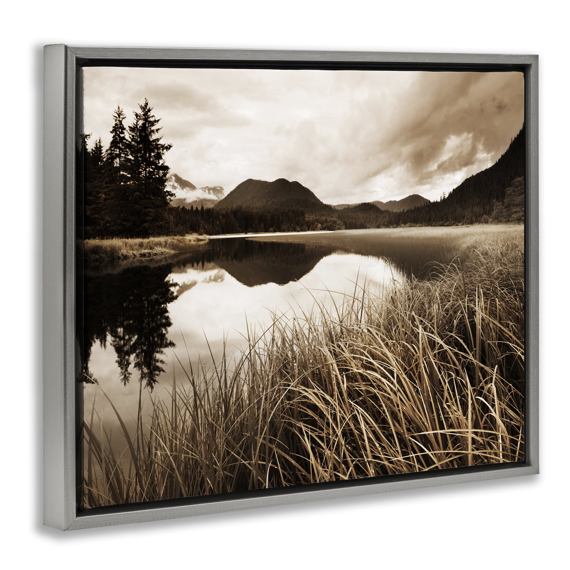Stupell Industries Sepia Lake Reflection Landscape Photography Gray Floater Framed Art Print Wall Art, 31 x 25