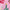 Pink Frosting, variant on Holiday Time Women’s and Women’s Plus Velour Notch Collar Pajama Set, 2-Piece, Sizes XS-3X