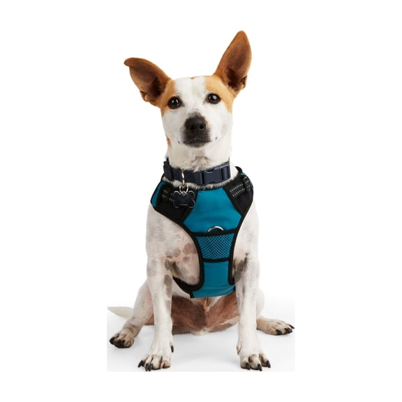 EveryYay Front Walking Reflective Dog Harness, Teal, X-Small