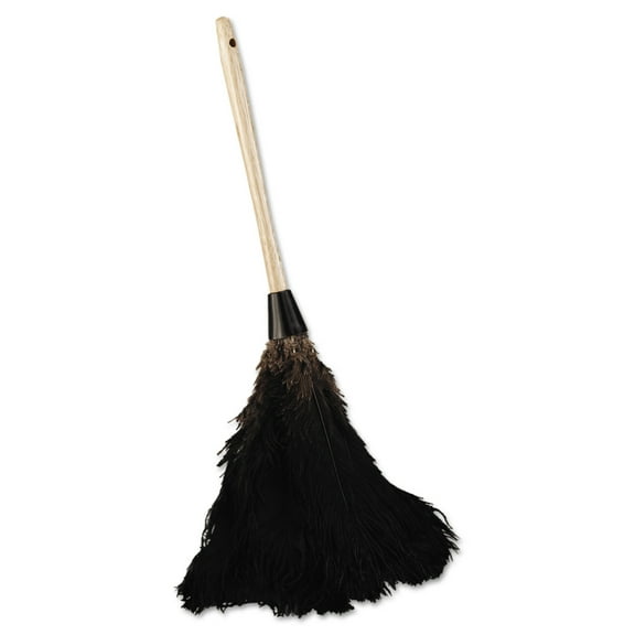 Professional Ostrich Feather Duster, 10" Handle | Bundle of 5 Each