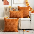 thumbnail image 3 of Fall Pillow Covers 18x18 Set of 2 Fall Decorations Thanksgiving Autumn Pumpkin Throw Pillow Cases Soft Plush Faux Fur Wool Couch Cushion Case for Chair Sofa Bedroom Living Room Home Decor, 3 of 6