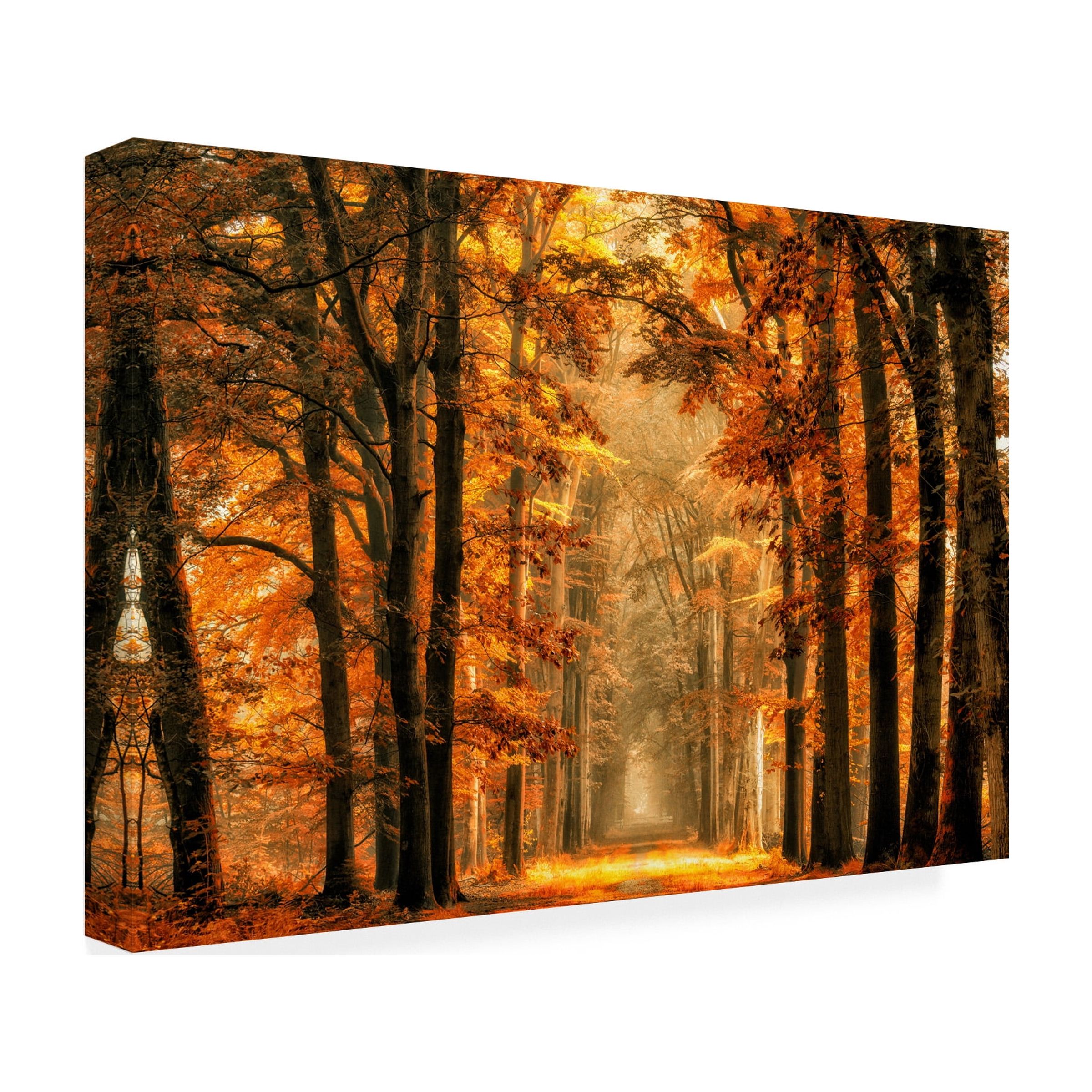 Lars van de 'Exit The Portal' Canvas Art