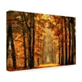 thumbnail image 4 of Lars van de 'Exit The Portal' Canvas Art, 4 of 4