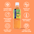 thumbnail image 5 of Aloevine Guava Aloe Vera Drink with Aloe Pulp, 16.9 fl oz, 20 Count Bottles, 5 of 8