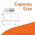 thumbnail image 3 of Supplement NOW Foods Teanina 100 mg 90 cápsulas (paquete de 3), 3 of 5