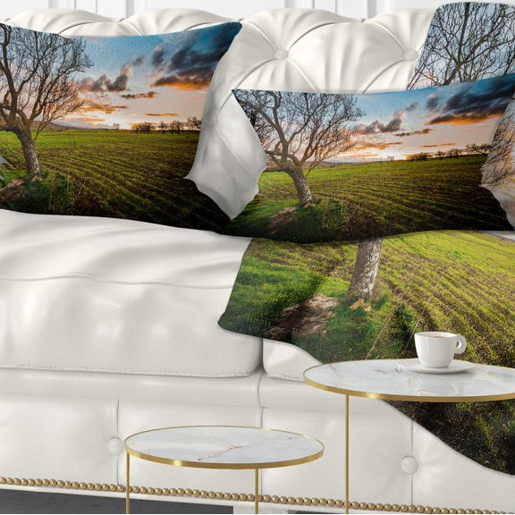 Designart Sunset in Sardinia Grassland - Landscape Printed Throw Pillow - 12x20