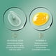 thumbnail image 5 of Sérum facial corrector de manchas Findley Renewing 60 ml, 5 of 7