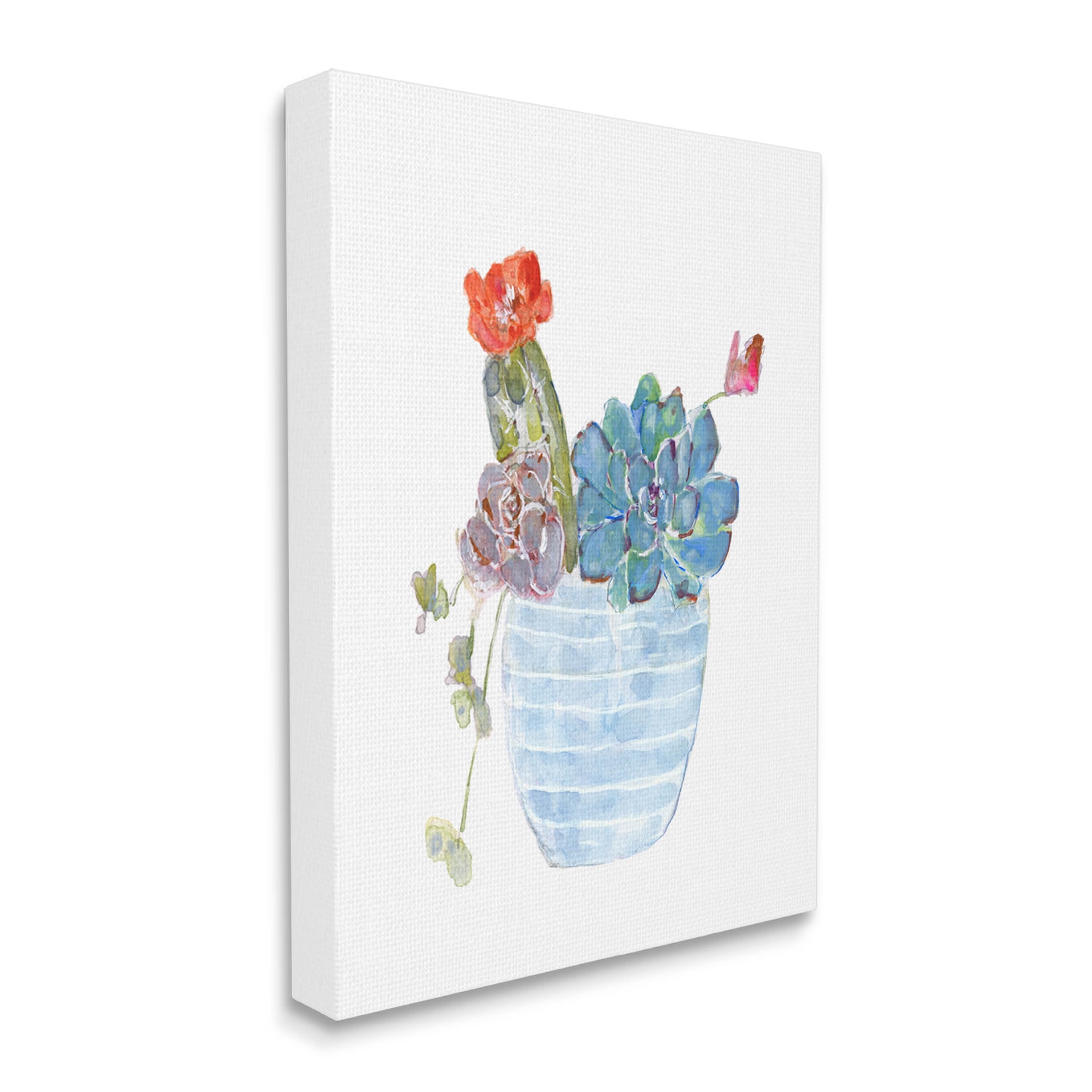 Stupell Industries Cactus Succulent Planter Graphic Art Gallery Wrapped Canvas Print Wall Art, Design by Sally Swatland