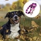 thumbnail image 3 of FloreceBien Combinación de correa para mascotas de nailon con patrón lindo de 8 'y collar de perro ajustable para perros pequeños y medianos, 3 of 5