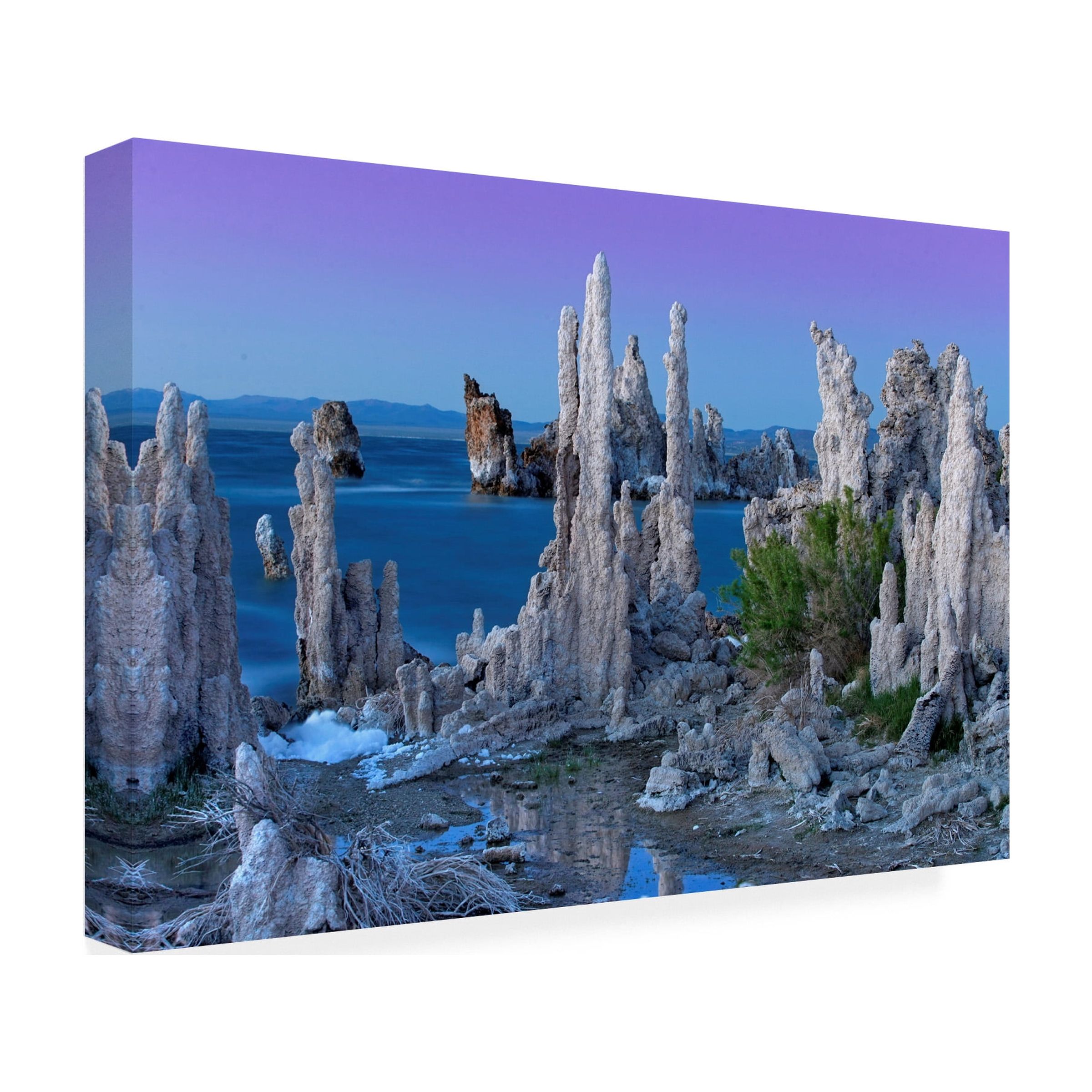Trademark Fine Art 'Mono Lake Dusk' Canvas Art by Mike Jones Photo