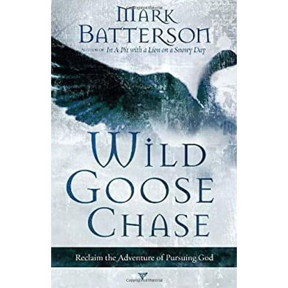 Pre-Owned Wild Goose Chase : Reclaim the Adventure of Pursuing God (Paperback) 9781590527191