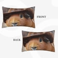 thumbnail image 2 of Xecao Cowboy Hat Guinea Pig for Decorative Throw Pillow Case for Couch,Sofa or Bed Set,Pillow Cover for Sofa Home Decor Ideal Gift-14"x20", 2 of 6