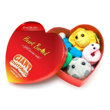 Heart Burned Gift Box of Mini Microbes, share the love and laughter with our heart boxes By Giant Microbes Ship from