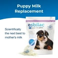 thumbnail image 4 of PetAg Esbilac Puppy Milk Replacer Powder - 5 lb, 4 of 8