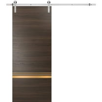 Sturdy Barn Door 28 x 80 inches | Planum 2010 Chocolate Ash with Frosted Glass | Stainless Steel 6.6FT Rail Hangers Heavy Set | Solid Panel Interior Doors
