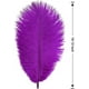 thumbnail image 2 of Xiao Hua 24 plumas de avestruz moradas naturales a granel de 25 a 30 cm para centros de mesa de bodas, fiestas, Pascua, Gatsby y decoración del hogar., 2 of 5