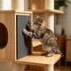 thumbnail image 5 of Alfombrilla rascadora adhesiva recortable para gatos, ideal para muebles, paredes, soportes para árboles y escaleras. Almohadilla protectora de tela para rascar., 5 of 6