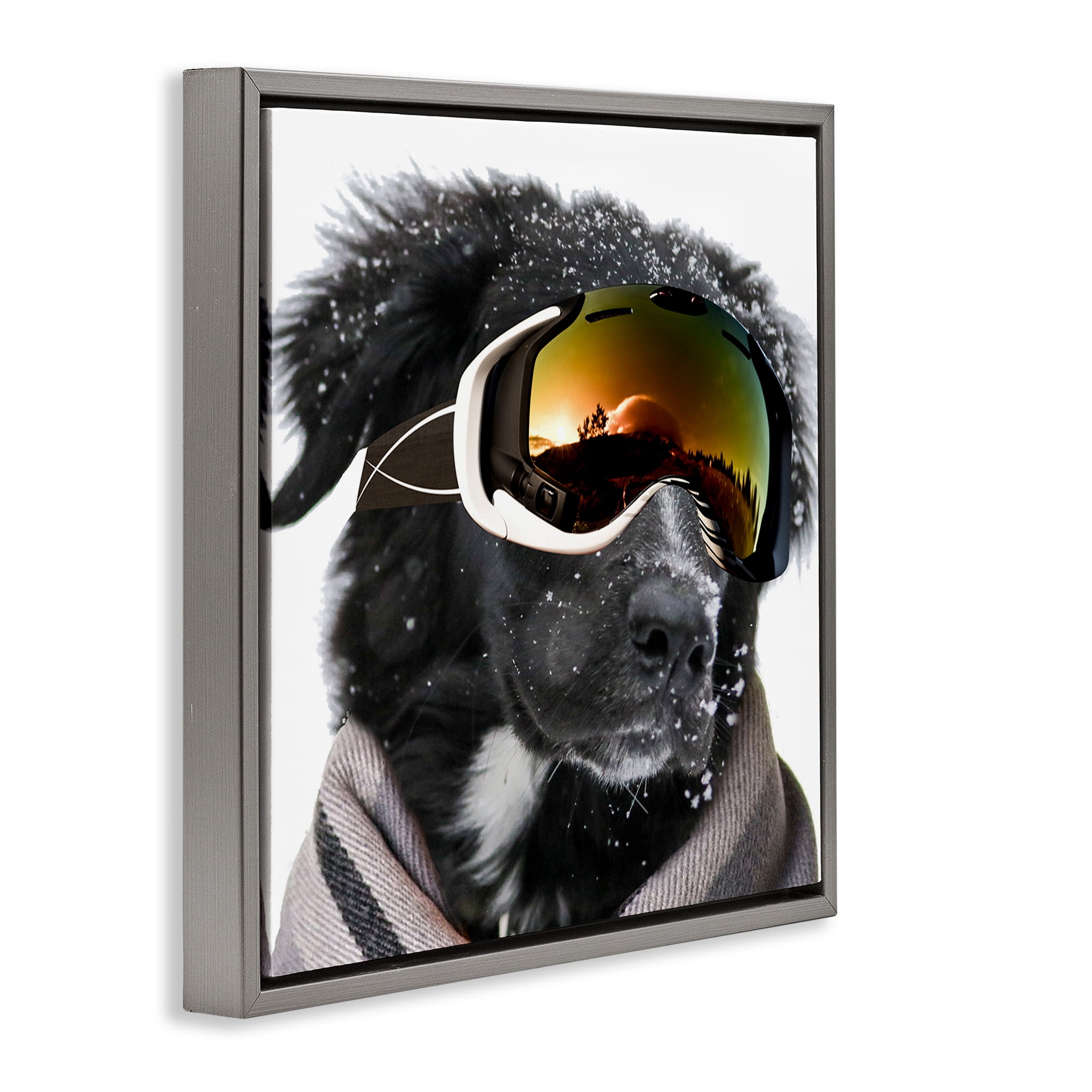 Stupell Industries Snowboarder Dog with Goggles Animals & Insects Painting Gray Floater Framed Canvas Art Print Wall Art, 18 x 18