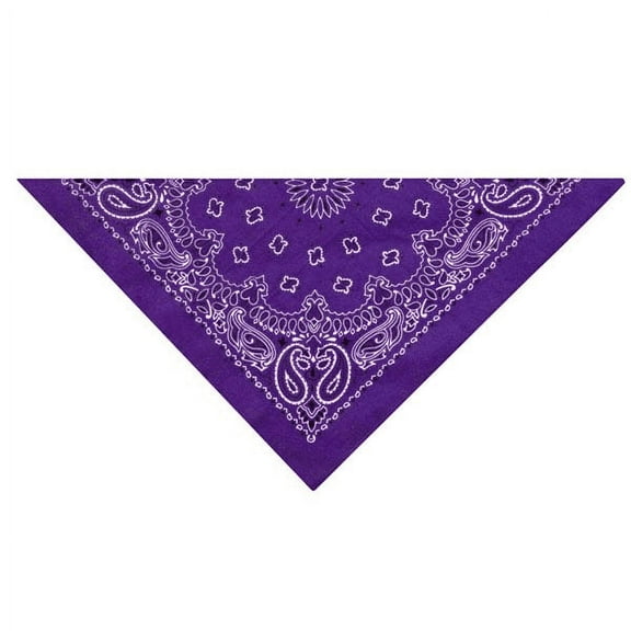 Carolina Hav-A-Hank Paisley Bandanna 22"X22"-Purple