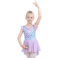 thumbnail image 3 of Yuyuekeji Dance Ballet Leotards for Girls,Kids Ruffle Sleeve Tutu Girls Skirted Dress 4-11 Years, 3 of 6