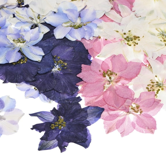 48-Pack Dried Pressed Flowers for Resin, Real Natural Bulk Dry Floral for Crafts/DIY Jewelry/Soap Making/Scrapbooking/Candle/Epoxy Resin Supplies/Photo Frames [Multicolor]