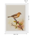 thumbnail image 2 of Diamond Art Kits for Adults, Orange Bird Branch Leaves Watercolor 5D Diamond Painting Kits for Adults Beginners, DIY Full Drill Diamond Painting, Gem Art and Crafts 12x16, 2 of 7