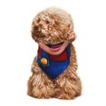 thumbnail image 3 of Lsque Mario Printing Dog Bandana ,Cat Scarf Adjustable Bib Handkerchief Accessories for Dogs Cats,Pet scarf,Pet fashion, 3 of 8