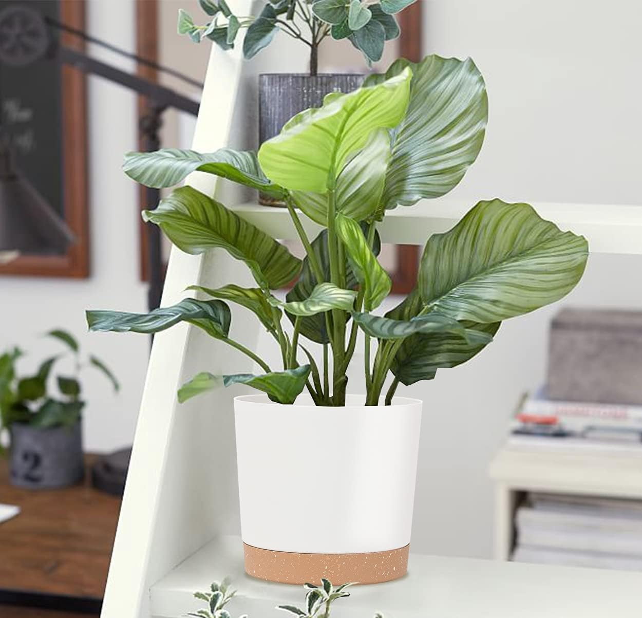 8'' Plastic Flower Planter Pots Set of 2 Indoor Outdoor Planters with Drainage Saucer for Garden Home (Green & White, 8 inch)