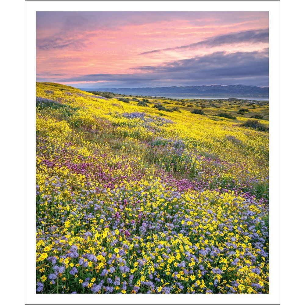 Buy Sierra Club Wilderness Calendar 2023 (Calendar) Online at Lowest