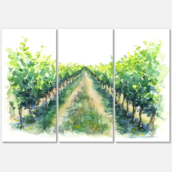 Designart ' Rural Scene Vineyard Path ' Traditional Canvas Wall Art Print
