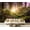 Color5, variant on Peel and Stick Wallpaper Autumn park Linden tree Modern Art Wall Mural Decor Self Adhesive and Removable 69in x 98in