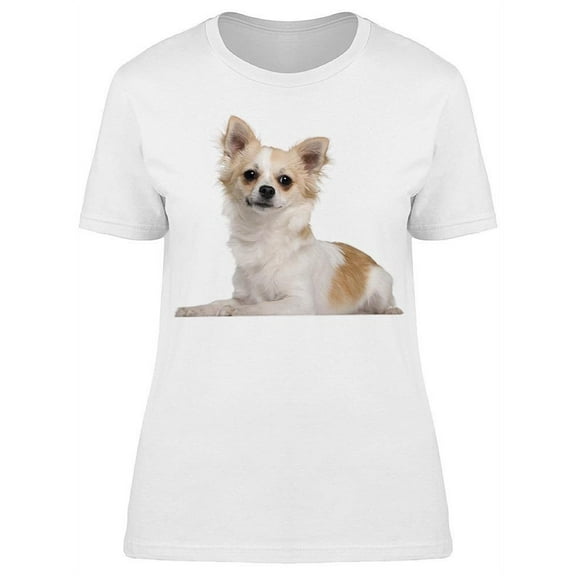 Chihuahua, Being Serious T-Shirt Women -Image by Shutterstock, Female 3X-Large