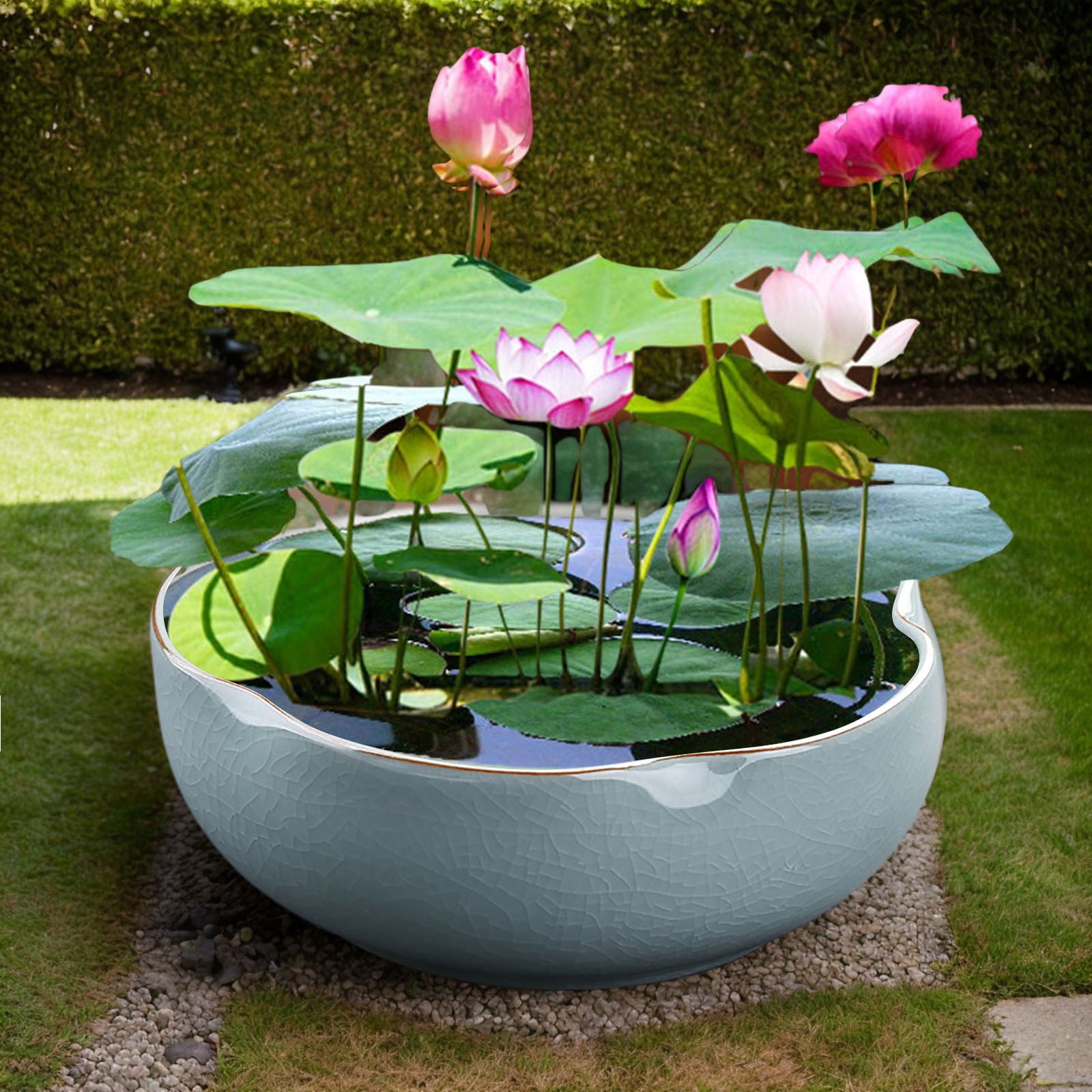 Ceramic Bowl Planter for Indoor Hydroponic Succulent Gardening Decorative Flower Pot