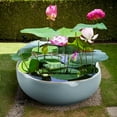 thumbnail image 1 of Jardinière Bol en Céramique pour Hydroponie Intérieure et Culture Aquatique des Succulentes, 1 of 5