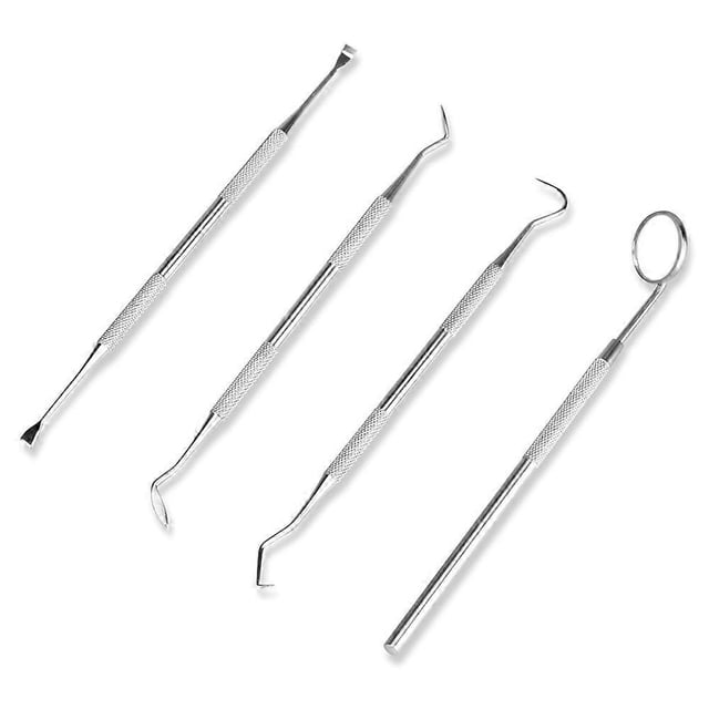 Professional Dental Hygiene Kit - 4 Pack Stainless Steel Silver