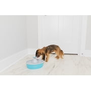 PetSafe Drinkwell Butterfly Pet Fountain - Automatic Dog and Cat Water Bowl